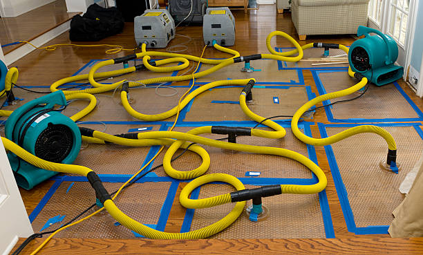 Professional Storm Water Damage Restoration technician working in Afton, WY